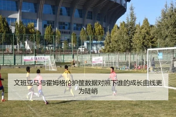 文班亚马与霍姆格伦护筐数据对照下谁的成长曲线更为陡峭